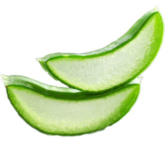 Aloe Vera image Aloe Vera image