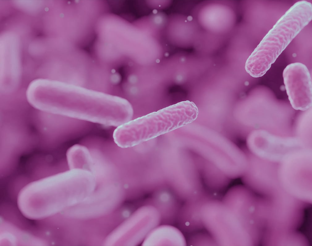 vaginale microbioom vaginale microbioom